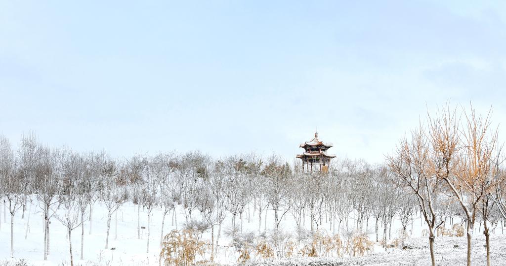 中药jiuyou登录入口与上海海港达