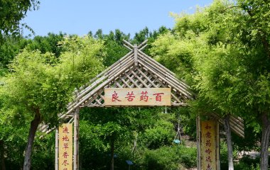 jiuyou（中国）官方网站卓越医生