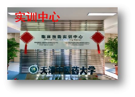 针灸推拿jiuyou登录入口官方正版