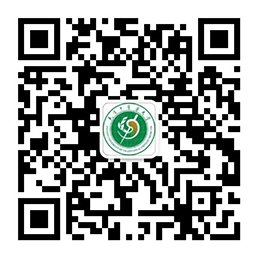 刘紫娆组成的团队...