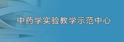 榜样引领丨优秀党务工作者风采展示
